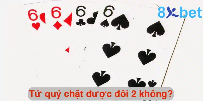 Tứ quý chặt được đôi 2 không? Tứ quý có thể chặt được gì? Giải đáp chi tiết thắc mắc tứ quý chặt được đôi 2 không?